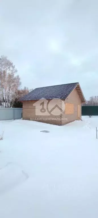 Дом в Новосибирская область, Новосибирский район, с. Боровое ул. ... - Фото 1