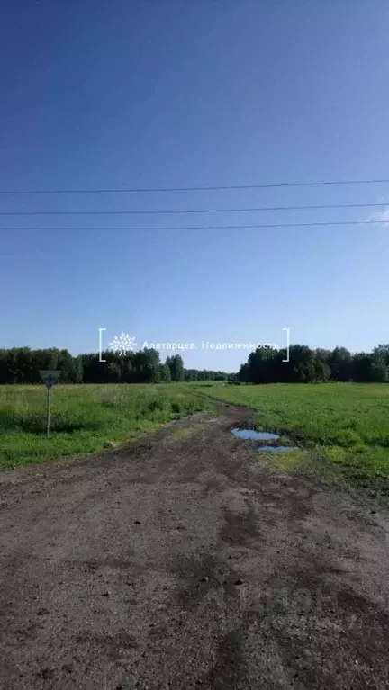Участок в Томская область, с. Кожевниково  (166.8 сот.) - Фото 0