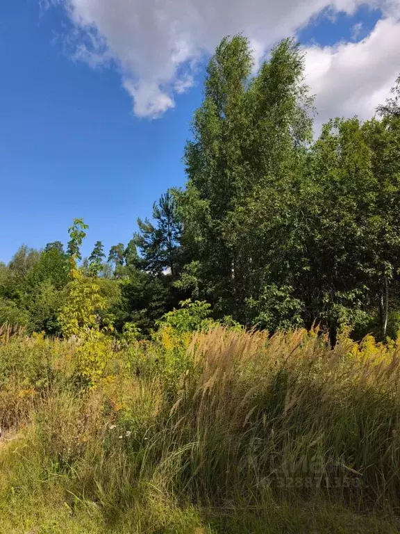 Участок в Московская область, Пушкинский городской округ, с. Тарасовка ... - Фото 1