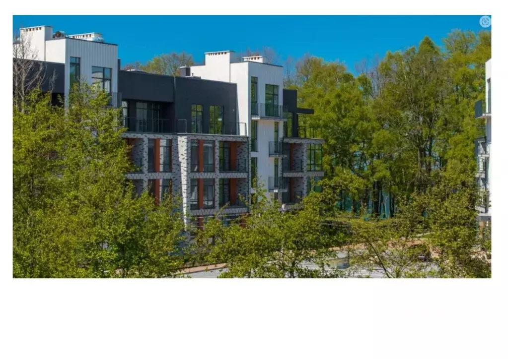 1-к кв. Калининградская область, Светлогорский городской округ, пос. ... - Фото 2