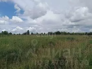 Участок в Свердловская область, Талицкий муниципальный округ, пос. ... - Фото 1