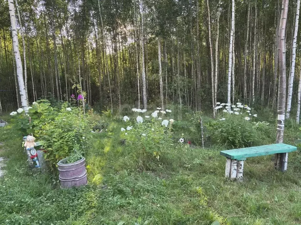 Участок в Ярославская область, Рыбинский муниципальный округ, ... - Фото 0