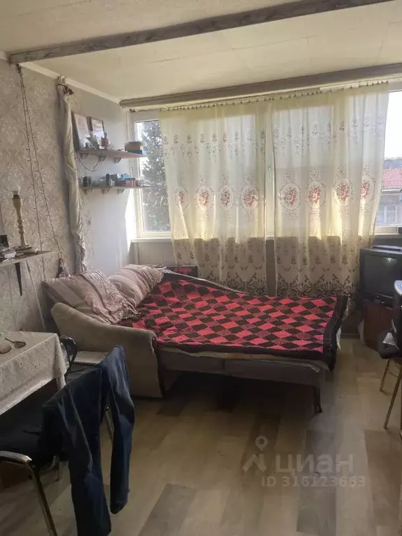 Комната Краснодарский край, Сочи ул. Гастелло, 15Б (13.0 м) - Фото 1