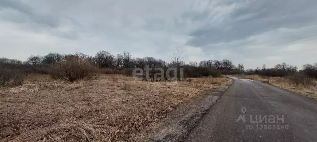 Участок в Воронежская область, Рамонское городское поселение, ... - Фото 0