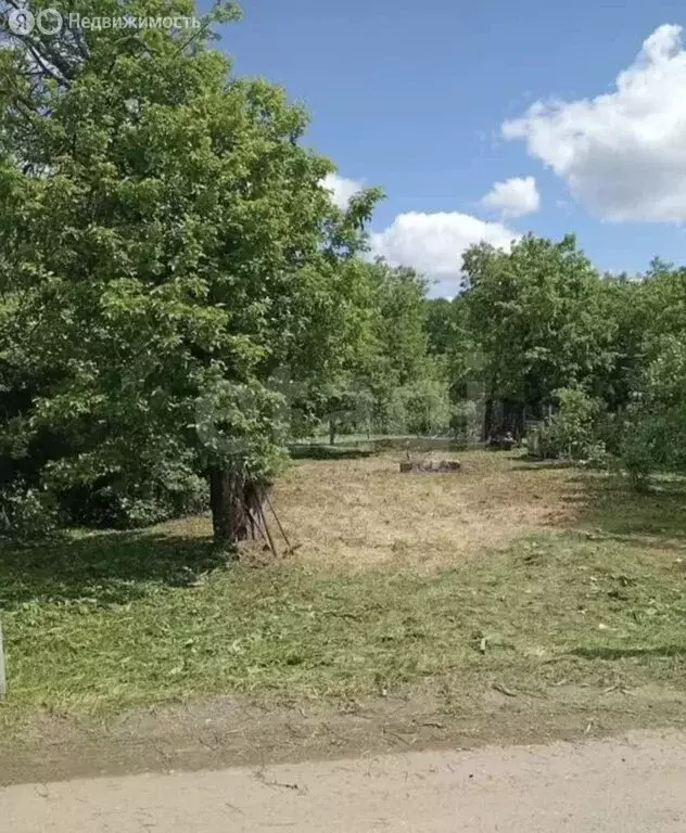 Участок в Нижний Новгород, СНТ Сокол, Сад № 1, 4 (5.93 м) - Фото 2