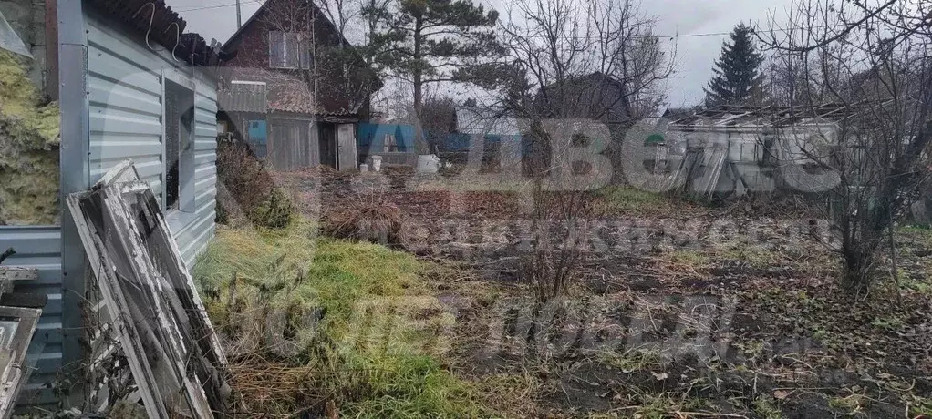 Участок в Тюменская область, Тюмень Мелиоратор садовое товарищество, ... - Фото 1