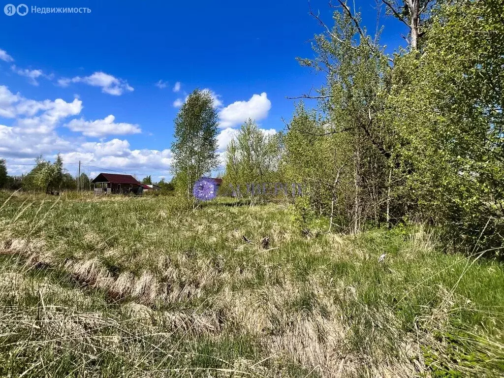 Участок в Ивангород, улица Красных Партизан, 16 (12 м) - Фото 1