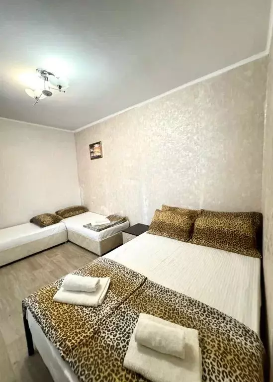 Комната Краснодарский край, Сочи Адлер жилрайон, ул. Чкалова, 10/8 - Фото 2