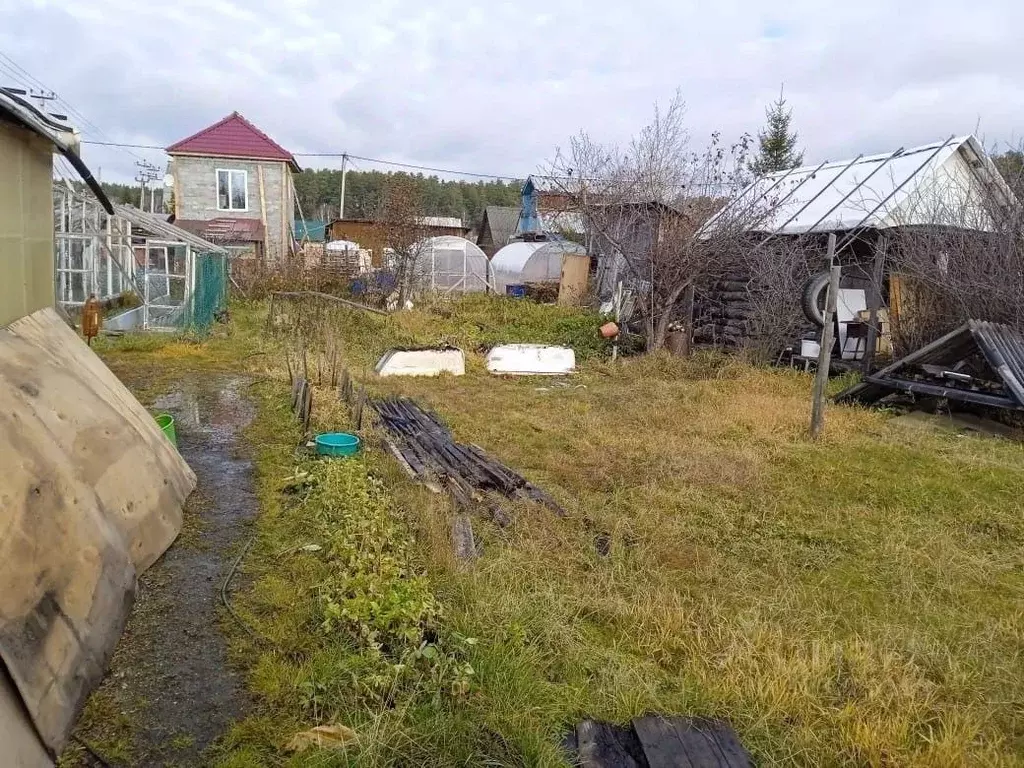 Участок в Свердловская область, Екатеринбург Приисковый - Керамик СНТ, ... - Фото 1