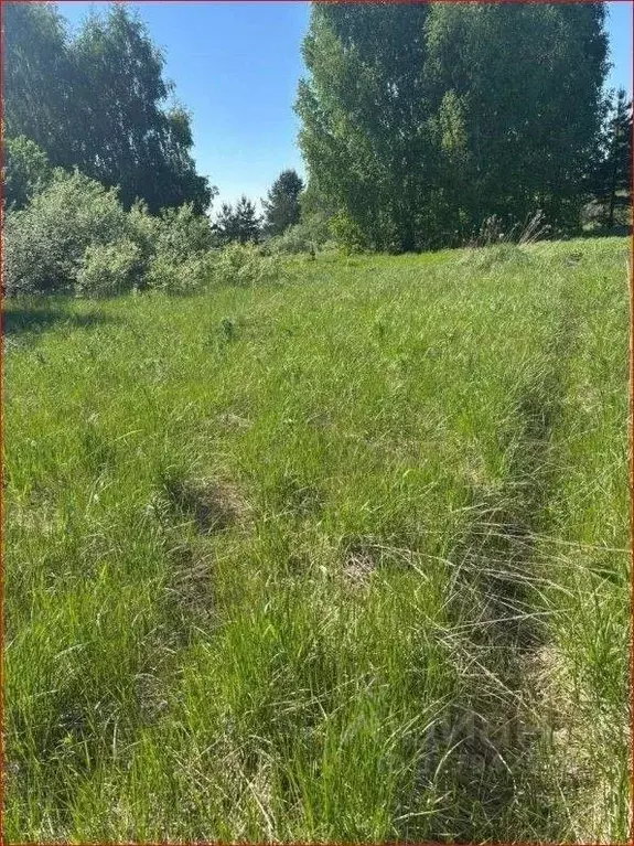 Участок в Нижегородская область, Заволжье г. Городецкий муниципальный ... - Фото 1