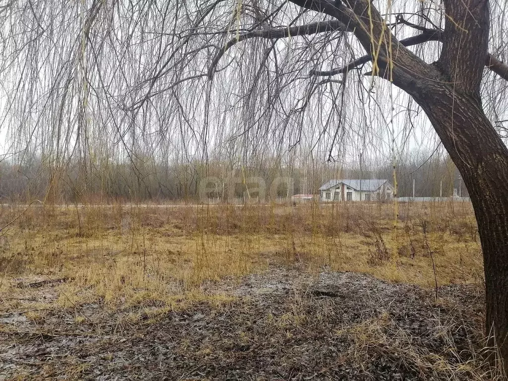 Участок в Белгородская область, Новый Оскол Новоселовская ул. (11.5 ... - Фото 2