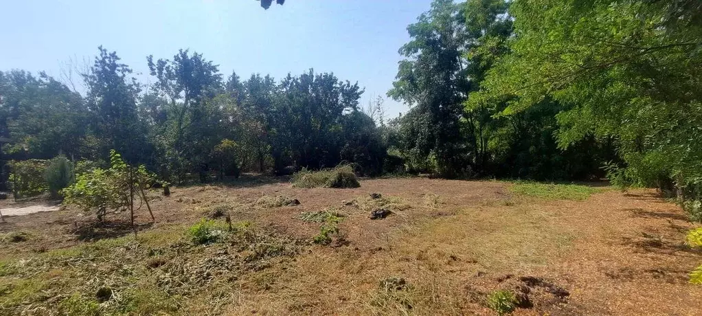 Участок в Краснодарский край, Динской район, Нововеличковское с/пос, ... - Фото 1