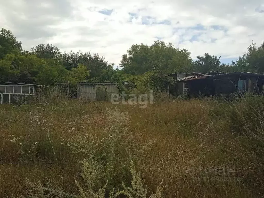 Участок в Белгородская область, Алексеевский муниципальный округ, с. ... - Фото 0