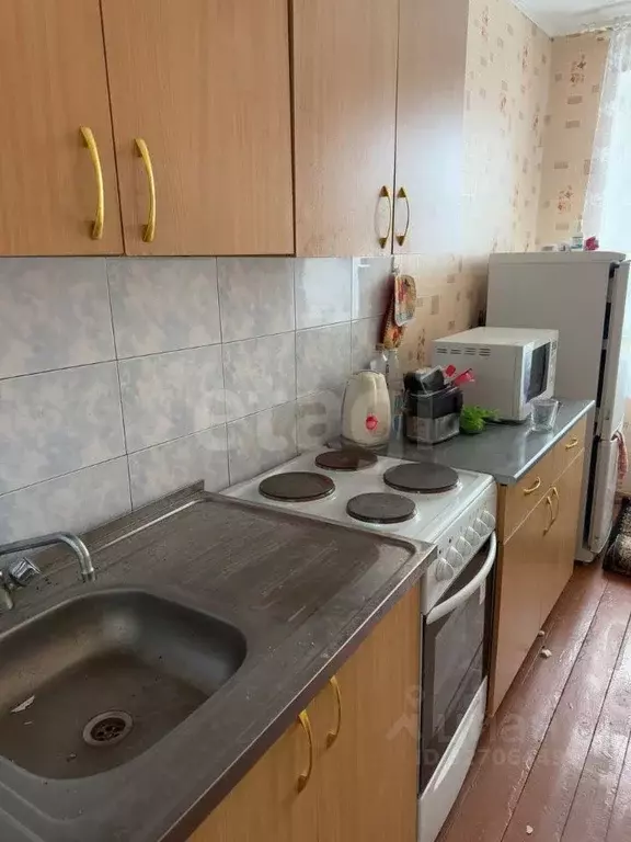 2-к кв. Челябинская область, Троицк пос. Троицкая ГРЭС, ул. ... - Фото 1