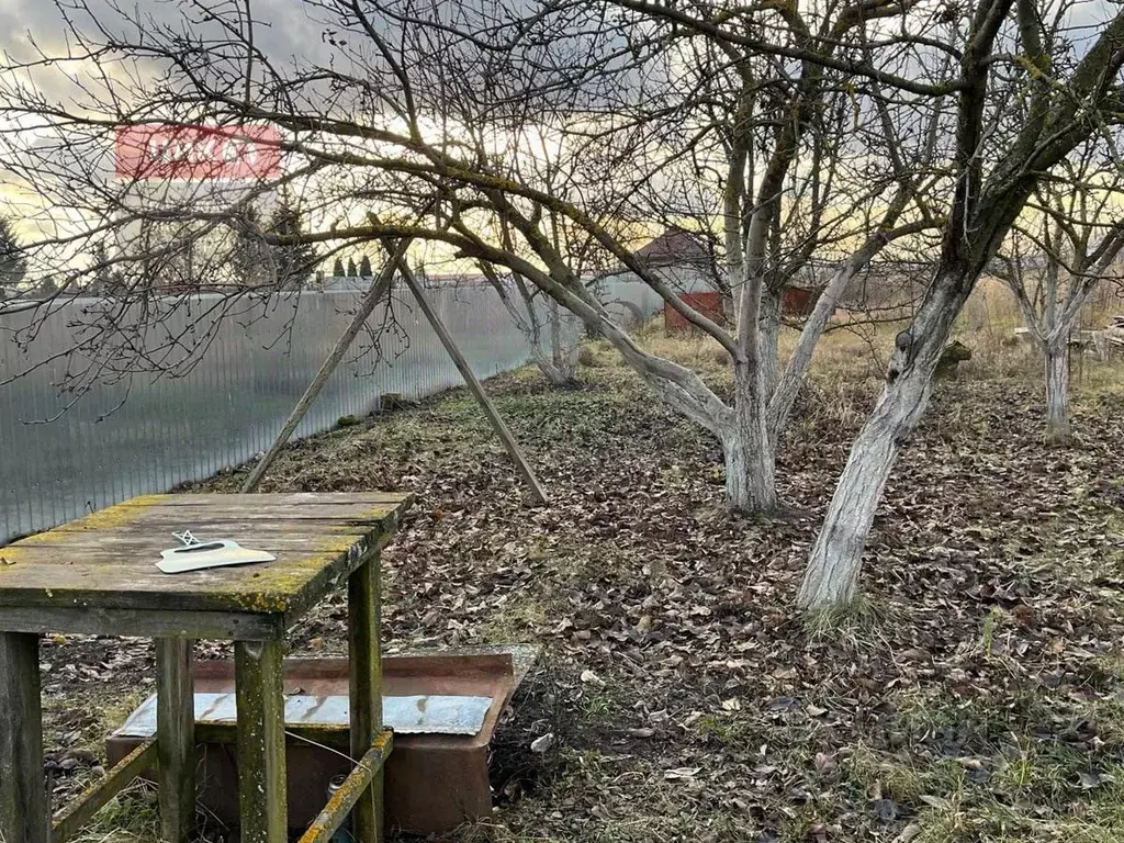 Участок в Рязанская область, Рязанский муниципальный округ, с. ... - Фото 1