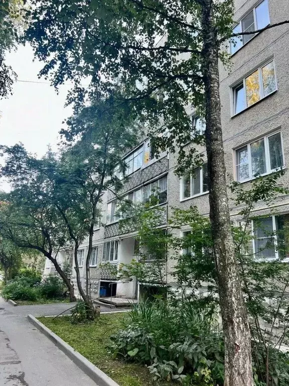 3-к кв. Свердловская область, Березовский ул. Энергостроителей, 3 ... - Фото 1
