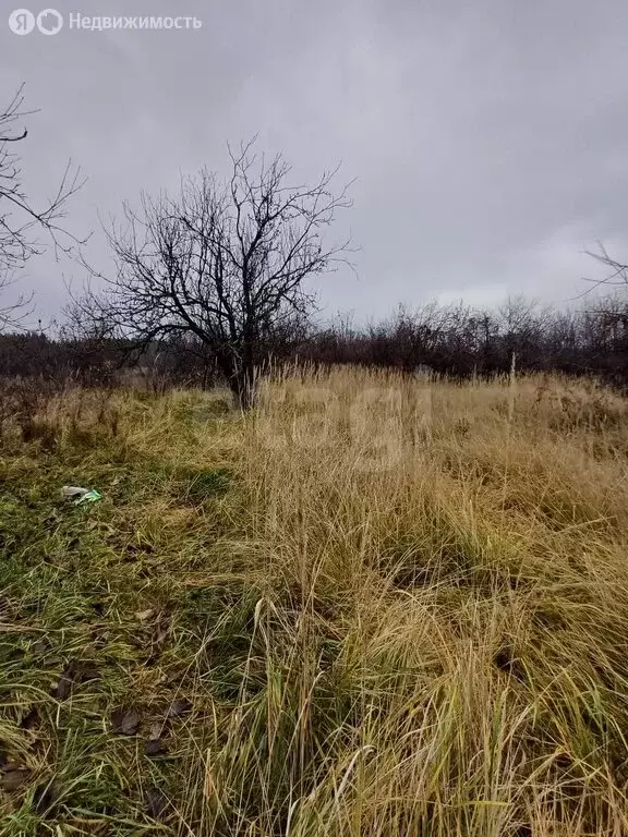 Участок в Елабуга, Карьерная улица (4 м) - Фото 2