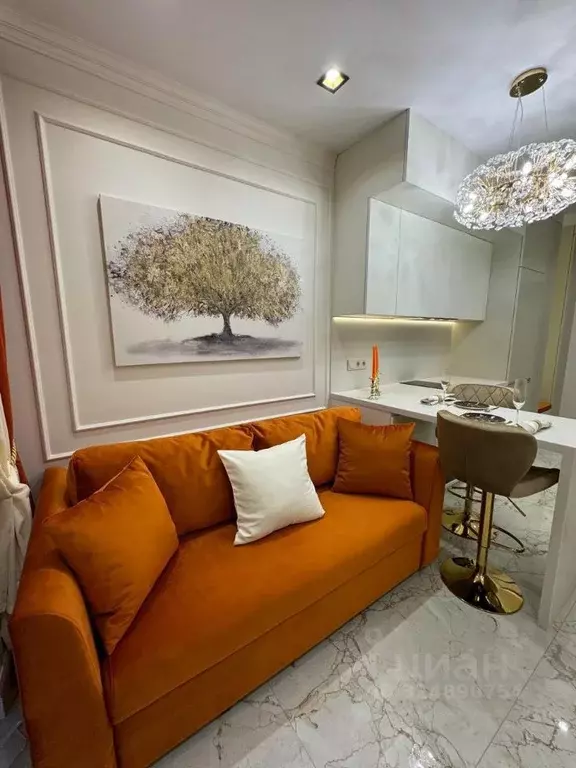 1-к кв. Краснодарский край, Сочи ул. Искры, 66/9к1 (31.0 м) - Фото 1