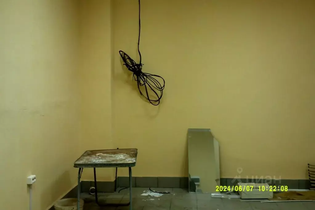 Помещение свободного назначения в Новосибирская область, Новосибирск ... - Фото 0