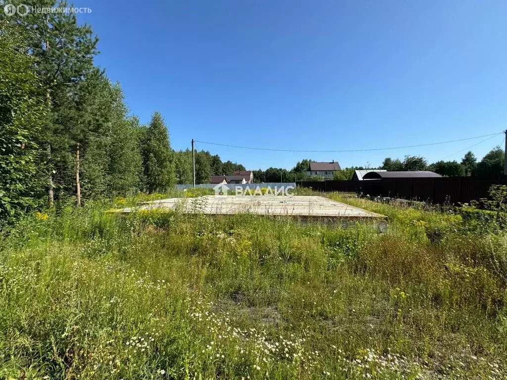 Участок в Пенза, СДТ Камыши (12 м) - Фото 1