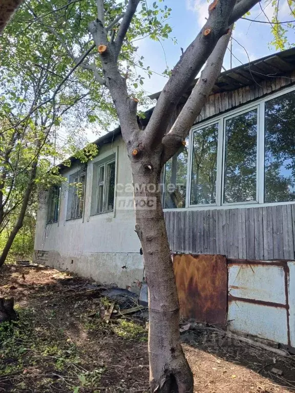 Дом в Воронежская область, Хохольский район, с. Гремячье Юбилейная ул. ... - Фото 1