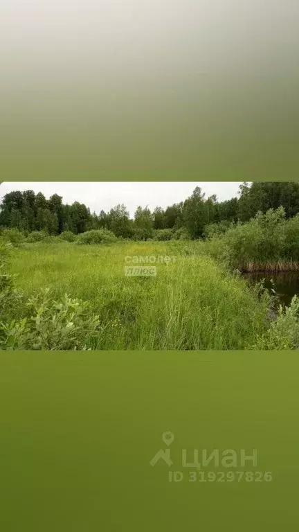 Участок в Тюменская область, Нижнетавдинский район, Геофизик 2 СНТ  ... - Фото 0