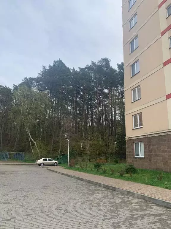 Студия Калининградская область, Светлогорск Майский проезд, 19 (28.0 ... - Фото 1