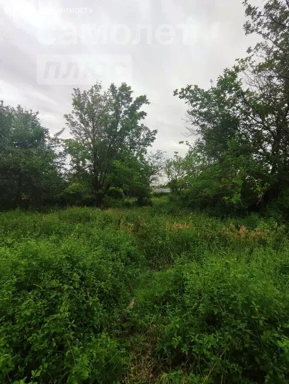 Участок в Астрахань, садоводческое некоммерческое товарищество ... - Фото 0