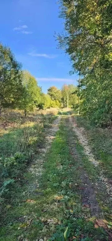 Участок в Ленинградская область, Гатчинский муниципальный округ, д. ... - Фото 0