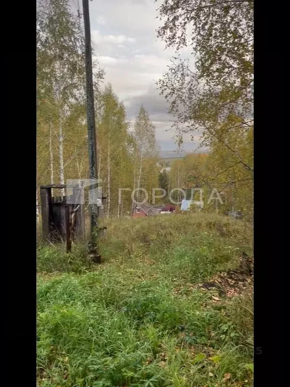 Участок в Новосибирская область, Новосибирский район, Новолуговской ... - Фото 0