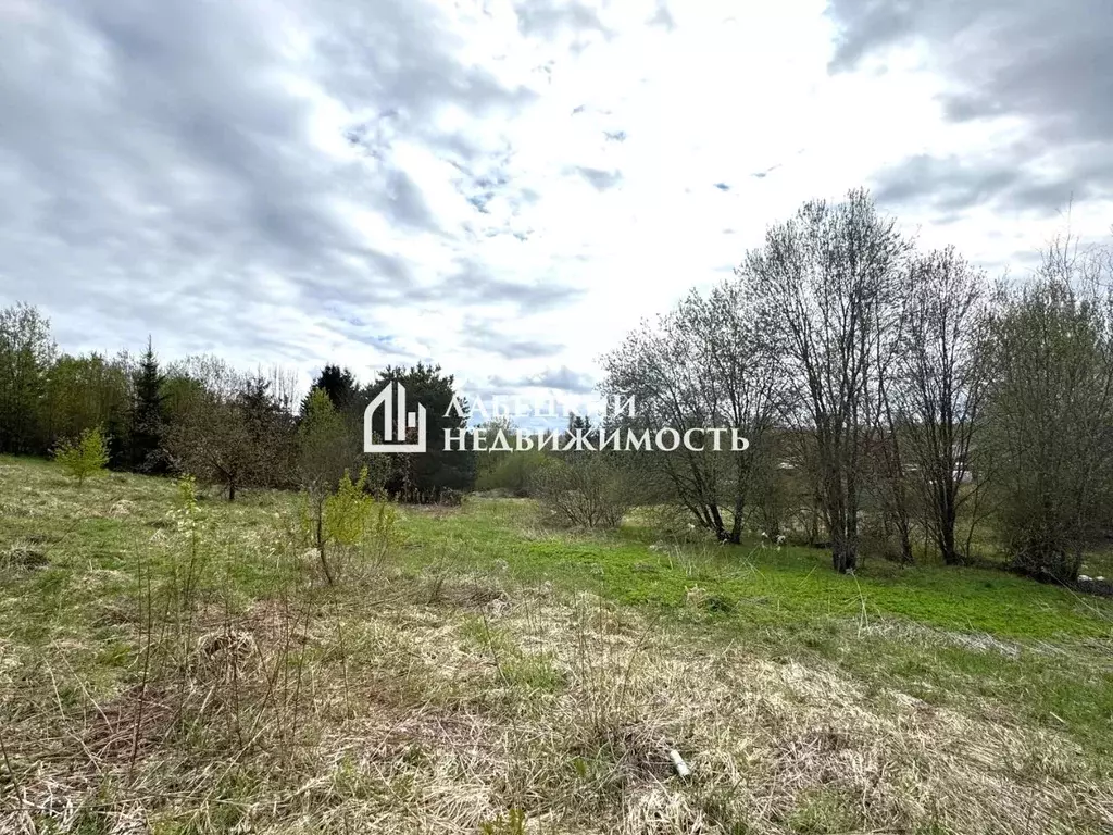 Участок в Московская область, Солнечногорск городской округ, д. Козино ... - Фото 1