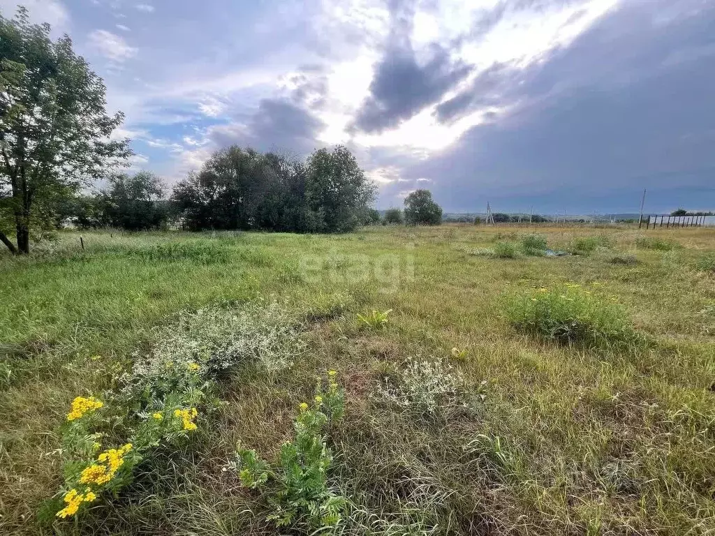 Участок в Воронежская область, Воронеж Керамик-2 СНТ,  (11.7 сот.) - Фото 0