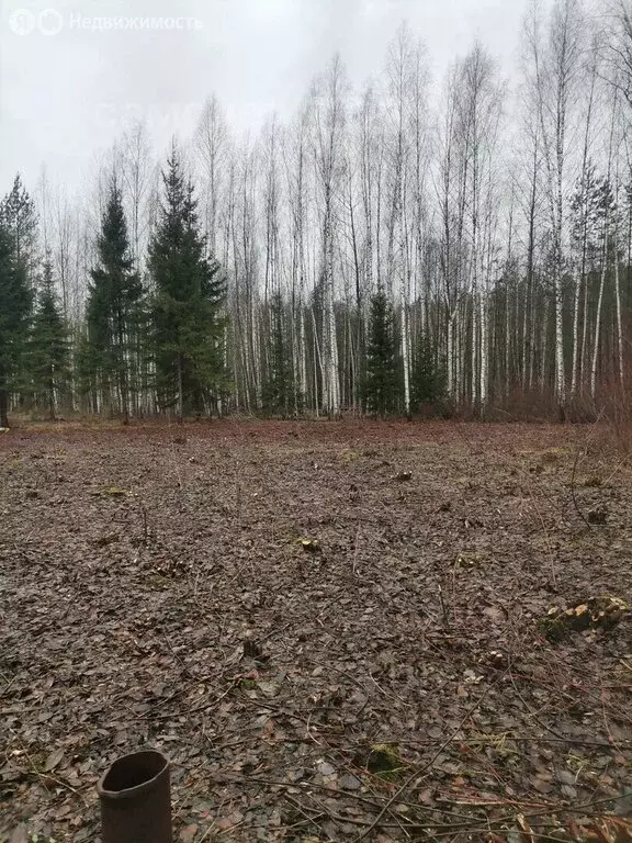 Участок в Медведевский район, Сидоровское сельское поселение, деревня ... - Фото 0