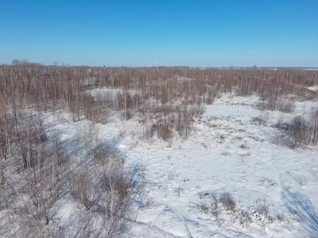 Участок в Хабаровский край, Хабаровский район, с. Мирное  (10.01 сот.) - Фото 1