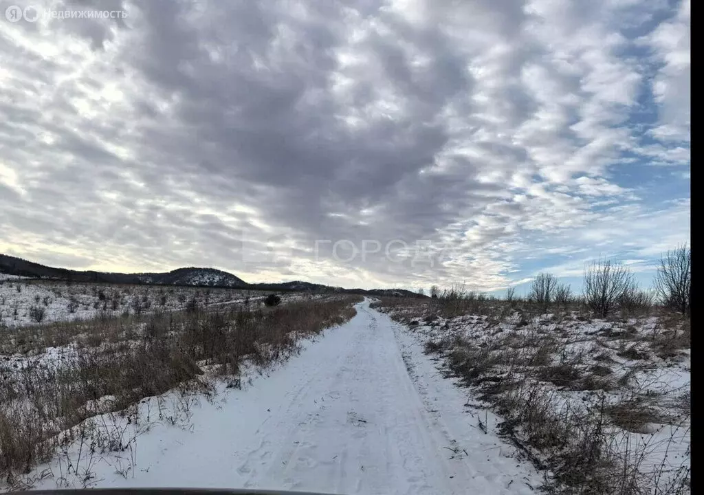 Участок в Алтайский край, Белокуриха (13 м) - Фото 0