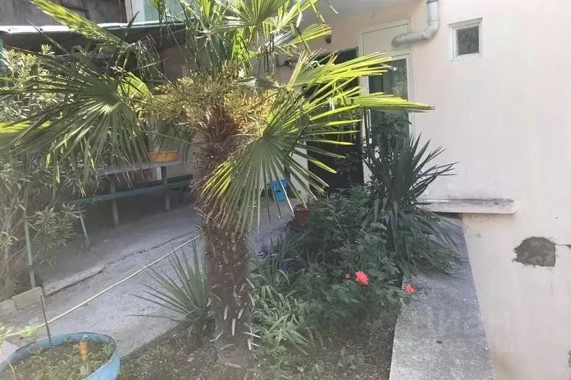 Дом в Крым, Ялта муниципальный округ, Гаспра пгт ул. Мира, 2 (80 м) - Фото 2