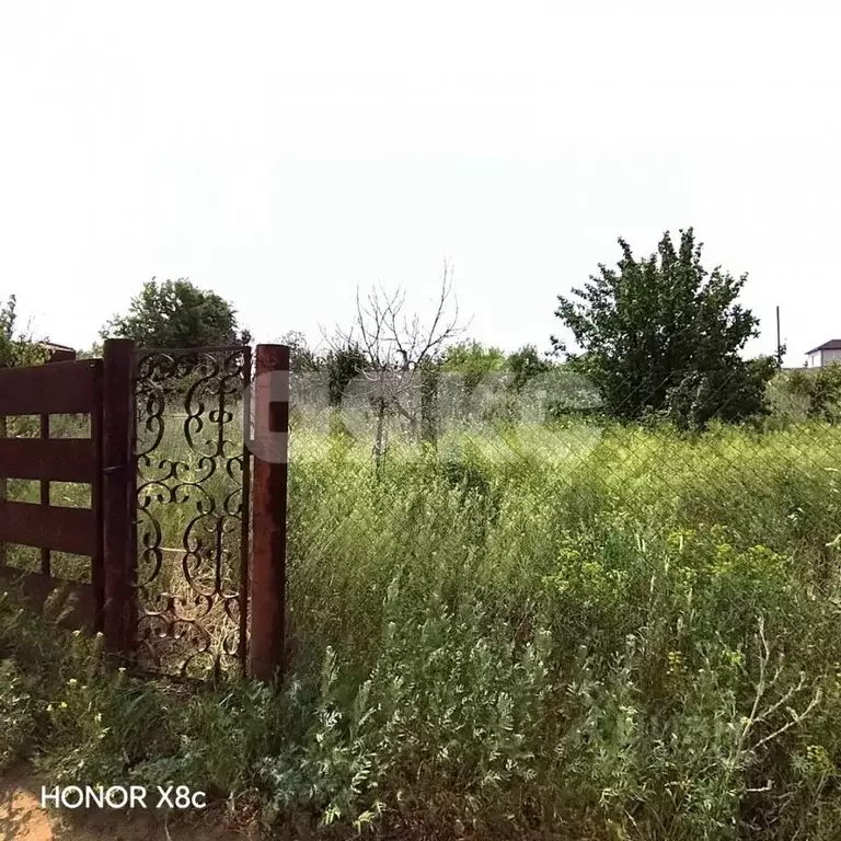 Участок в Волгоградская область, Волгоград Геофизик СНТ,  (6.0 сот.) - Фото 2