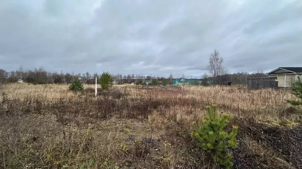 Участок в Калужская область, Козельский муниципальный округ, Бурнашево ... - Фото 1