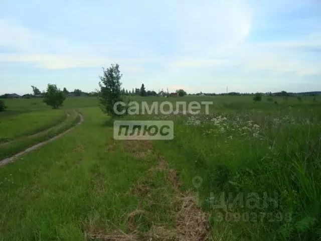 Участок в Вологодская область, д. Сумароково  (8.0 сот.) - Фото 0