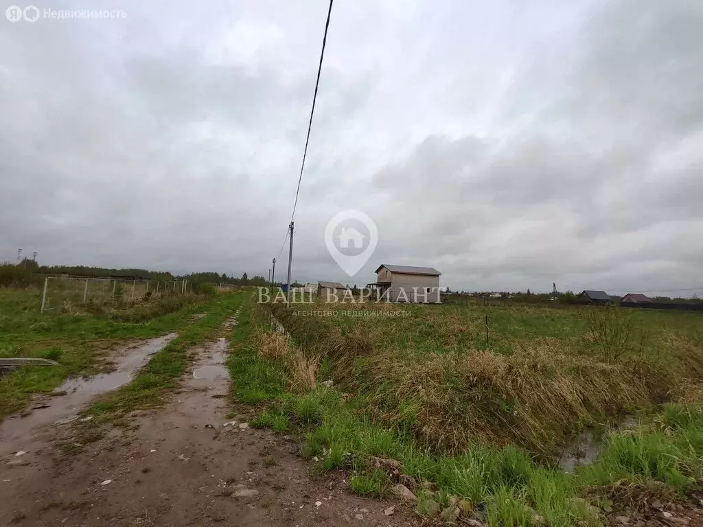 Участок в Ярославская область, Рыбинский муниципальный округ, деревня ... - Фото 1