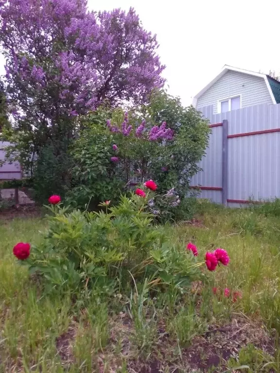 Дом в Самарская область, Сызранский район, Междуреченск городское ... - Фото 2