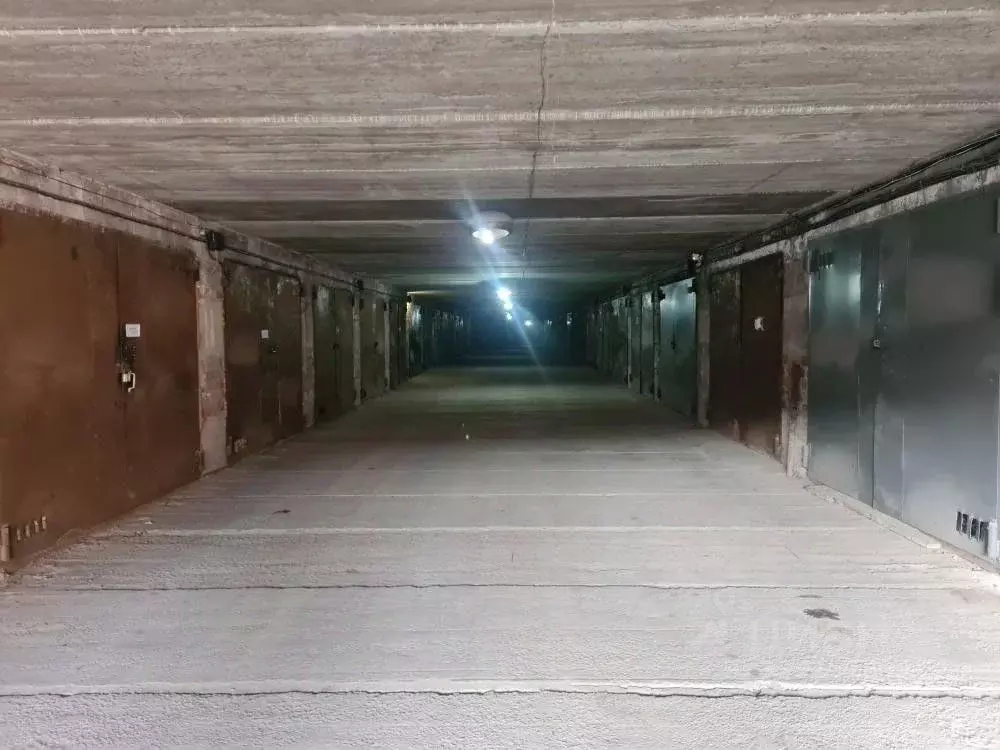 Гараж в Иркутская область, Иркутск Байкальская ул., 203Б (32 м) - Фото 1