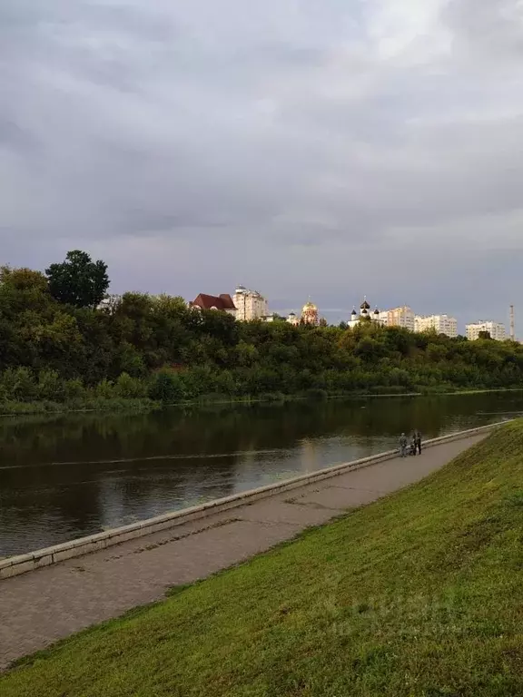 3-к кв. Орловская область, Орел наб. Дубровинского, 92 (65.7 м) - Фото 0