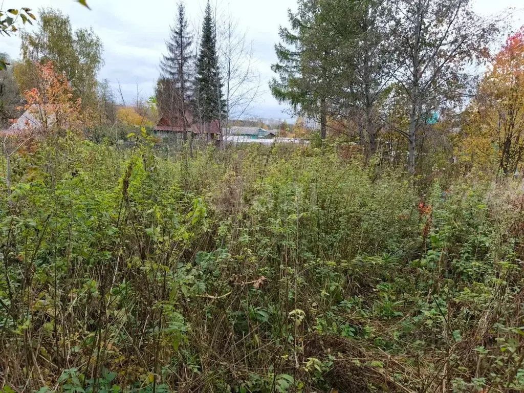 Участок в Свердловская область, Нижний Тагил Имени Тимирязева СНТ,  ... - Фото 1