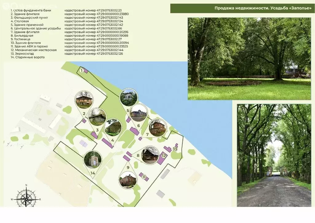 Участок в Лужский район, Володарское сельское поселение, посёлок ... - Фото 1