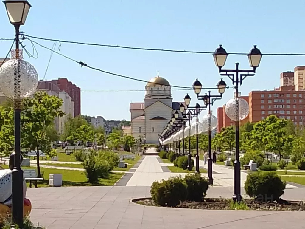1-к кв. Саратовская область, Саратов ул. Имени Академика Н.Н. ... - Фото 0