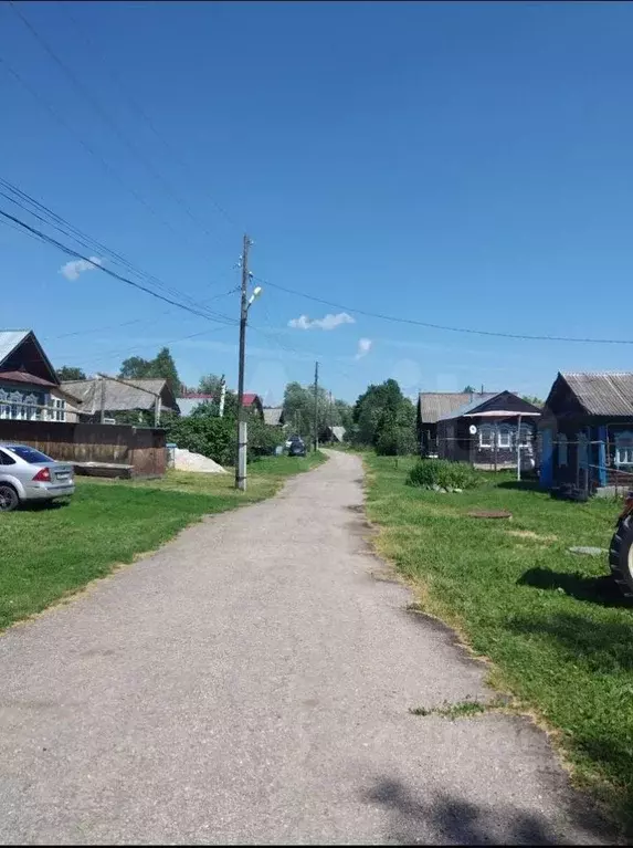 Дом в Нижегородская область, Вадский муниципальный округ, с. Зеленые ... - Фото 1