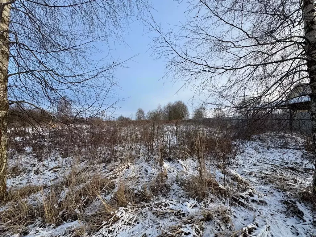 Участок в Московская область, Волоколамский муниципальный округ, д. ... - Фото 1