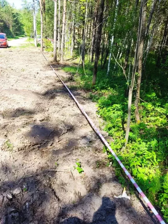 Участок в Новосибирская область, Новосибирский район, Кубовинский ... - Фото 2