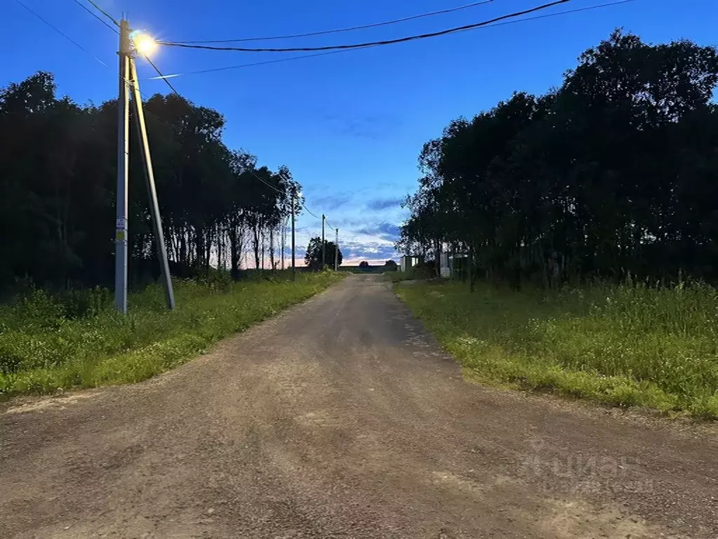 Участок в Ленинградская область, Всеволожский район, Романовское ... - Фото 0